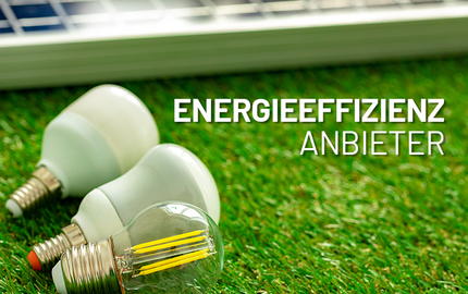 Energieeffizienz © FabrikaPhoto